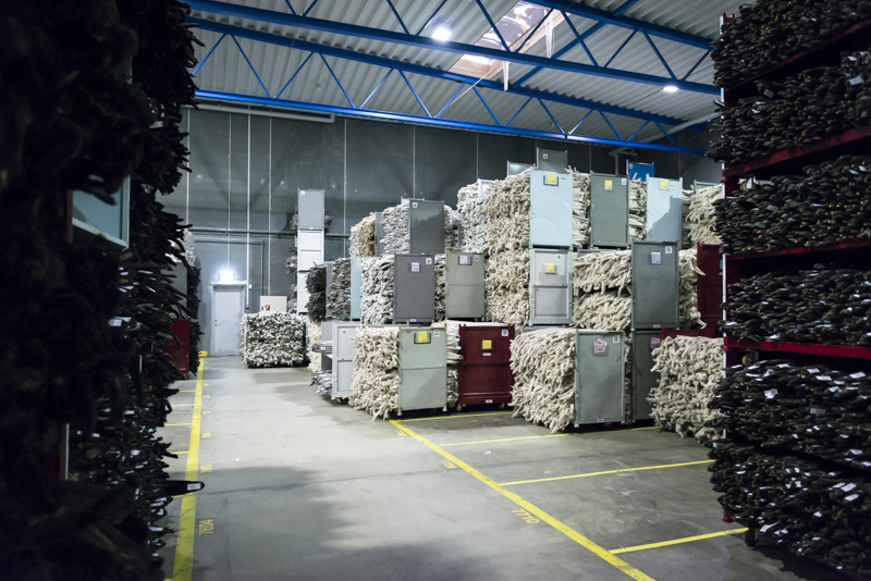 Kopenhagen fur auction stock inside