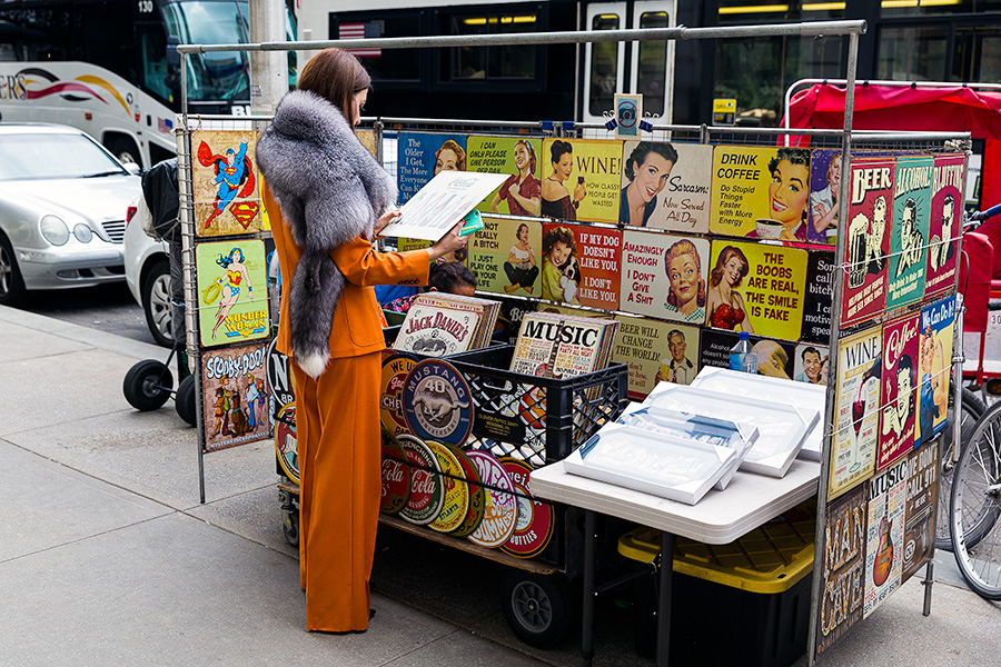 lady fur reading posters