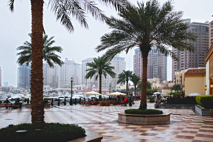 fingerless leather gloves photo17