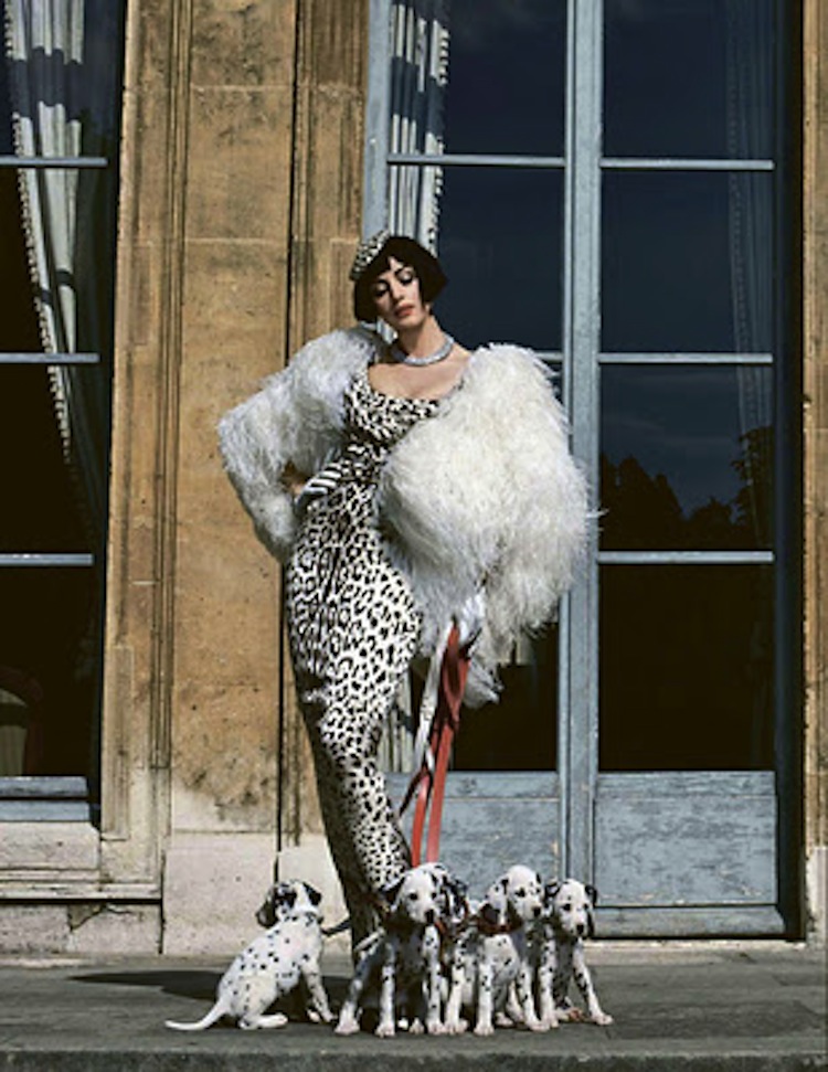 bellucci for tatler russia
