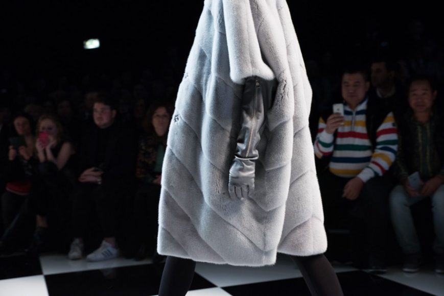 03032015-03032015-DSC_3746