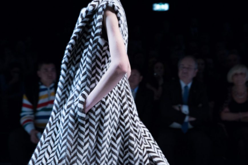 mifur 2015 rindi braschi vinico pajaro jun photo 21