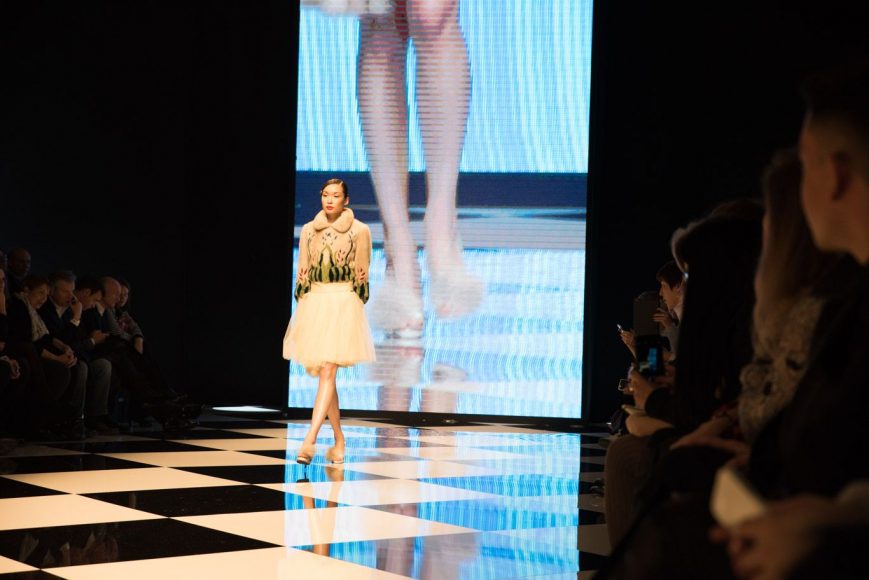 mifur 2015 rindi braschi vinico pajaro jun photo 11