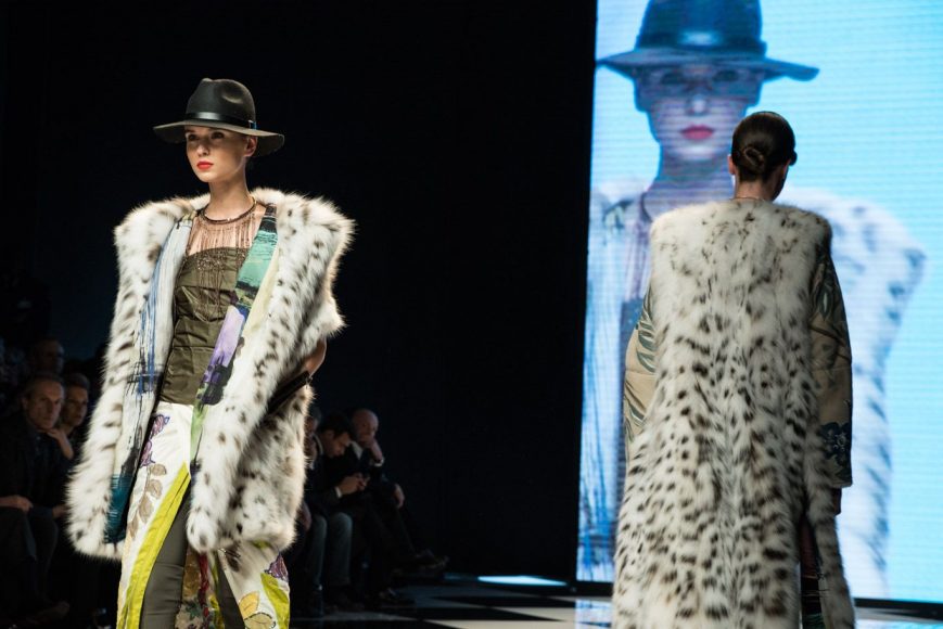 mifur 2015 rindi braschi vinico pajaro jun photo 1