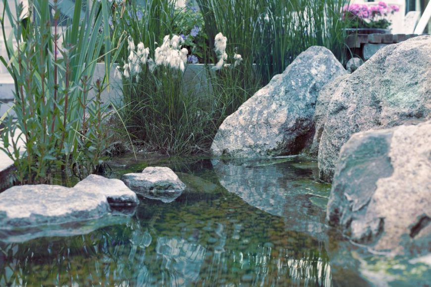 lady fur lynx skins miahatami