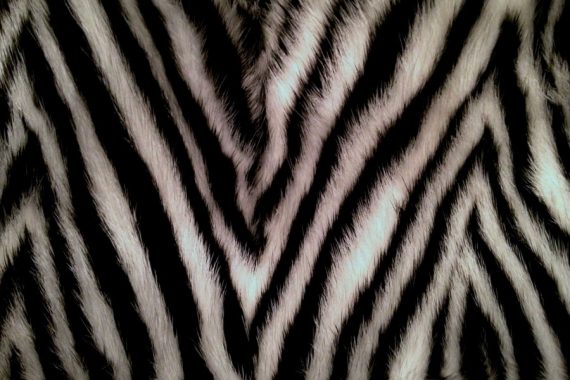 vladimiro gioia fur sample