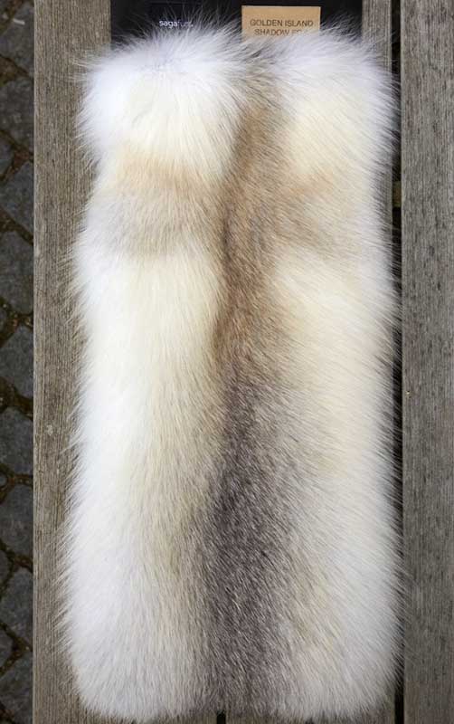 fur vest fox