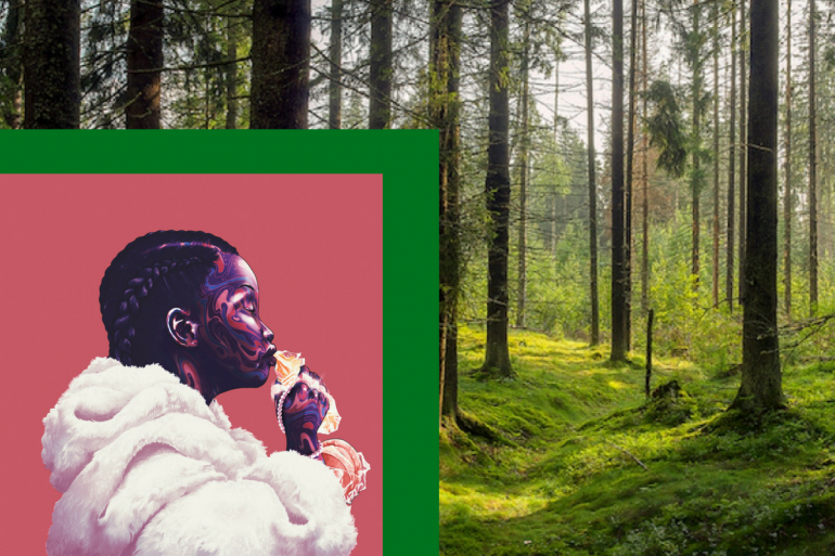 Environmental impact of Choosing-Fur